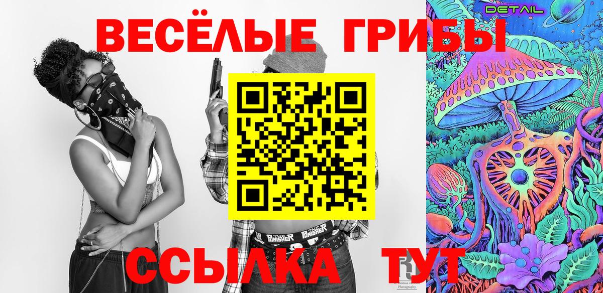 Галлюциногенные грибы мухоморы Будённовск