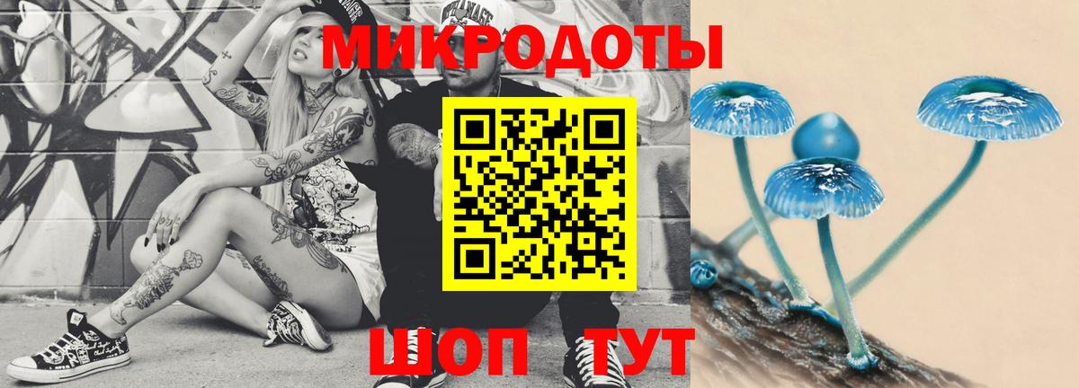 Галлюциногенные грибы GOLDEN TEACHER  Вход с VPN  Будённовск 